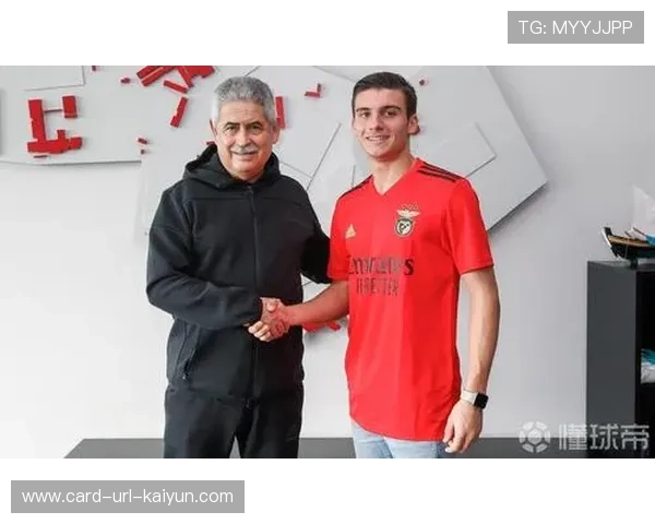 本菲卡—拉斐尔迅速插上突破造成混乱